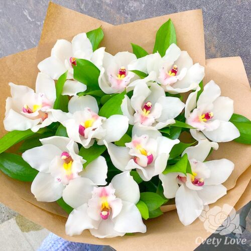 Букет из 11 белых орхидей