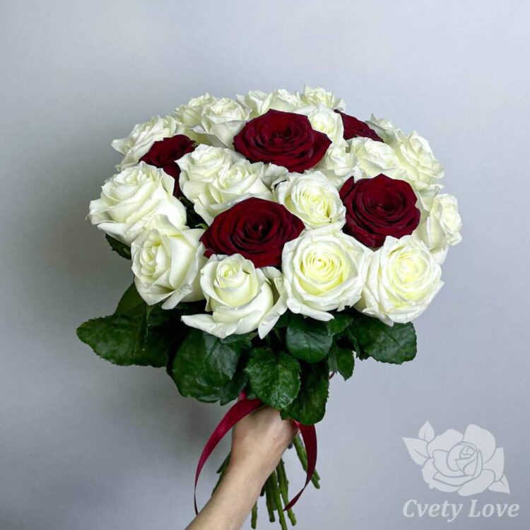 Букет из 25 красной и белой розы под ленту