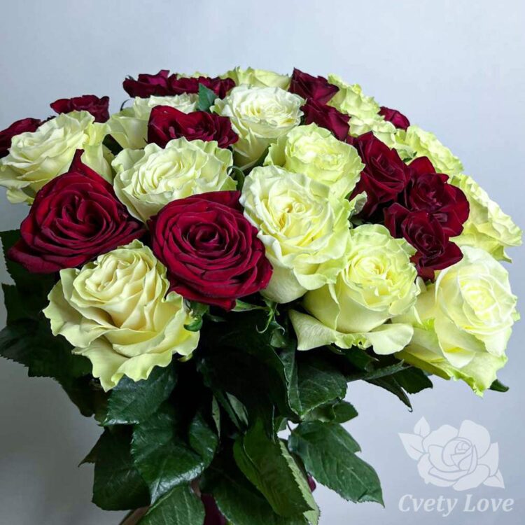 Букет из 29 красной и белой розы под ленту